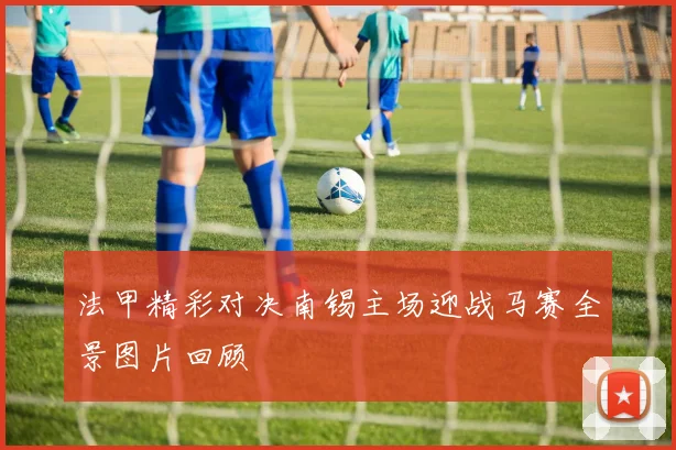 法甲精彩对决南锡主场迎战马赛全景图片回顾