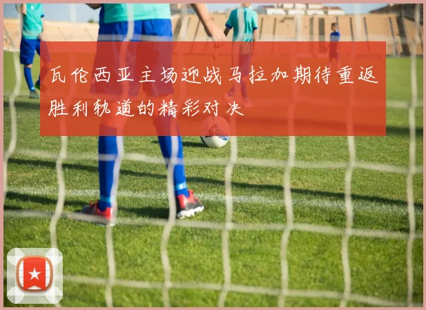 瓦伦西亚主场迎战马拉加期待重返胜利轨道的精彩对决