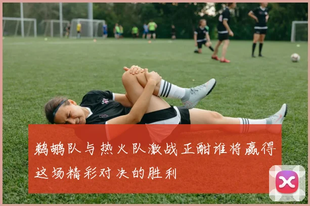 鹈鹕队与热火队激战正酣谁将赢得这场精彩对决的胜利