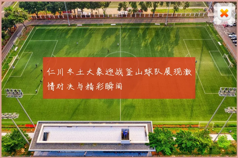 仁川冬土大象迎战釜山球队展现激情对决与精彩瞬间