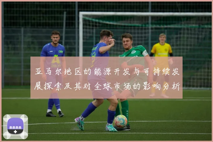 亚马尔地区的能源开发与可持续发展探索及其对全球市场的影响分析