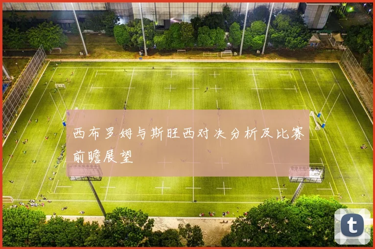 西布罗姆与斯旺西对决分析及比赛前瞻展望