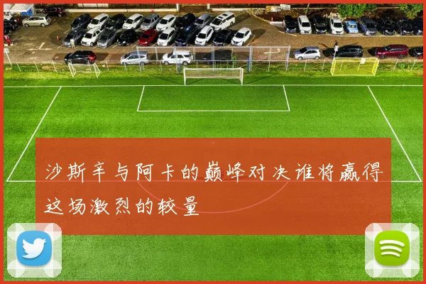 沙斯辛与阿卡的巅峰对决谁将赢得这场激烈的较量